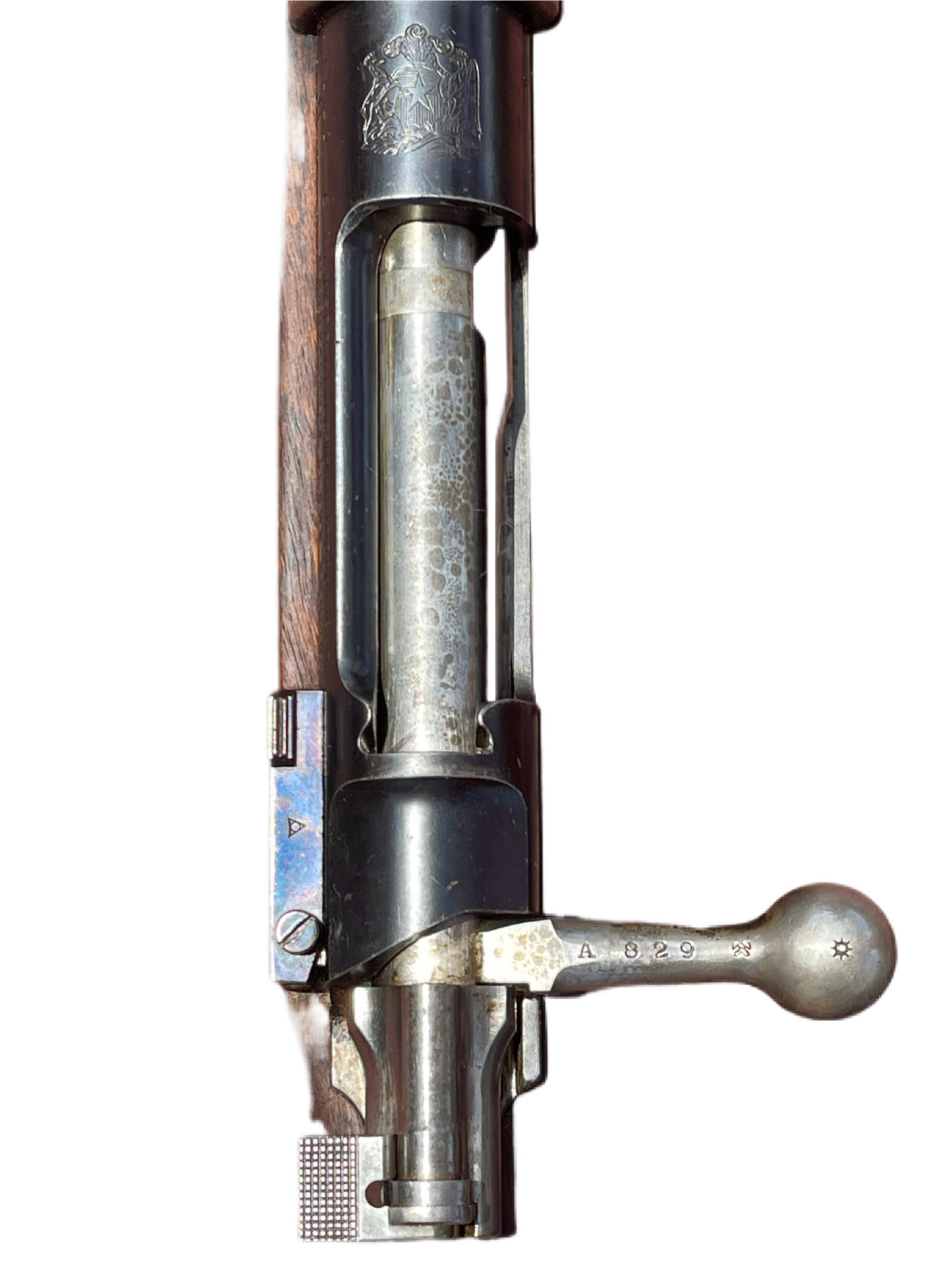 1895 Chilean Mauser Rifle – Loewe Berlin, 7×57mm, Serial A 829