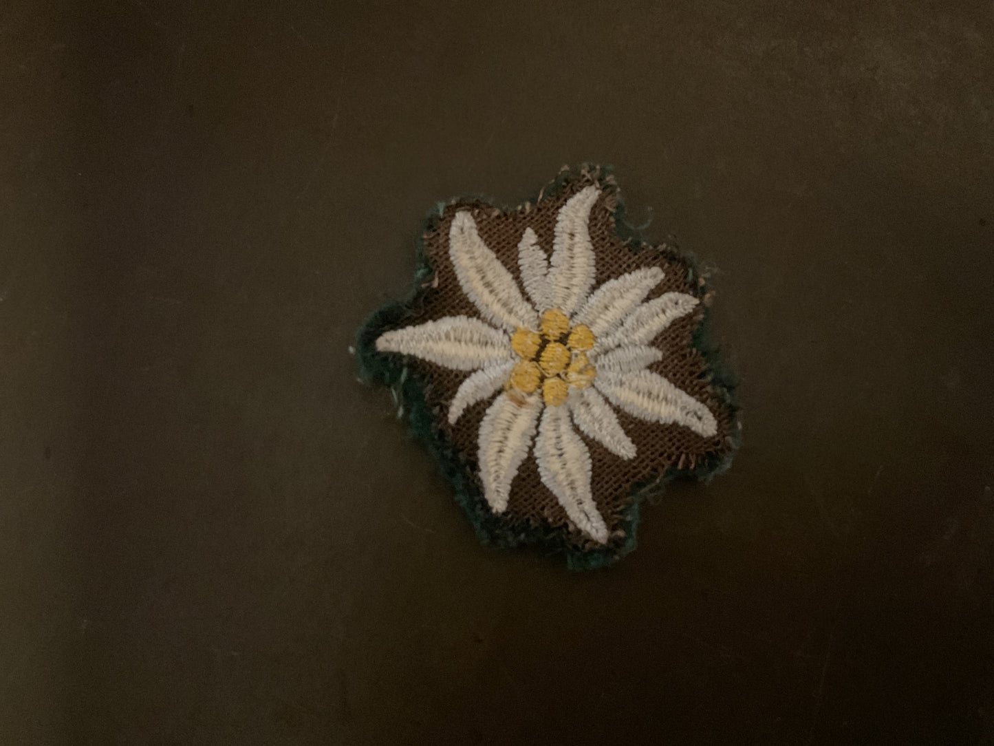 WWII German Elelweiss Mountain Troops Insignia