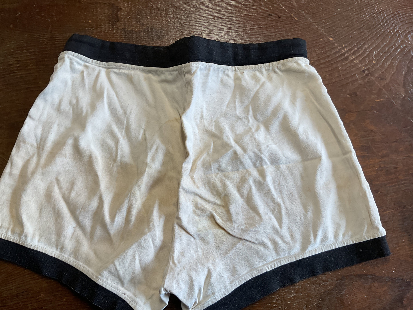 Vintage Catalina California Shorts/Swim Trunks