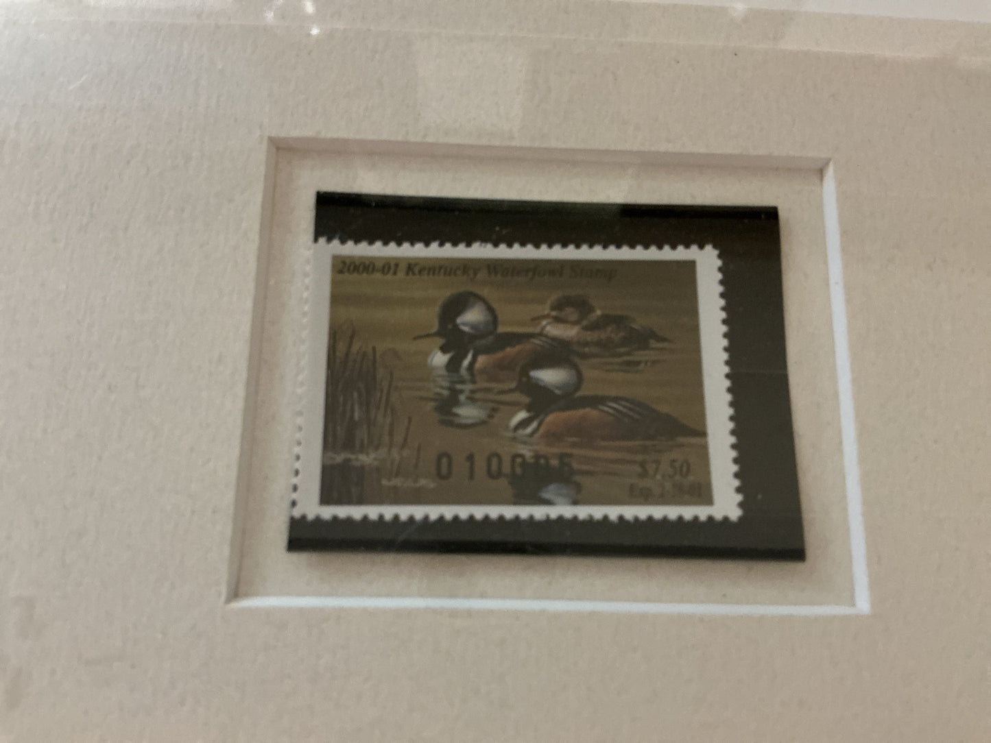 Framed 2000 Kentucky Duck Stamp Print by Tim Donovan-Signed & Numbered 5/150-Ducks Unlimited Louisville East Chapter