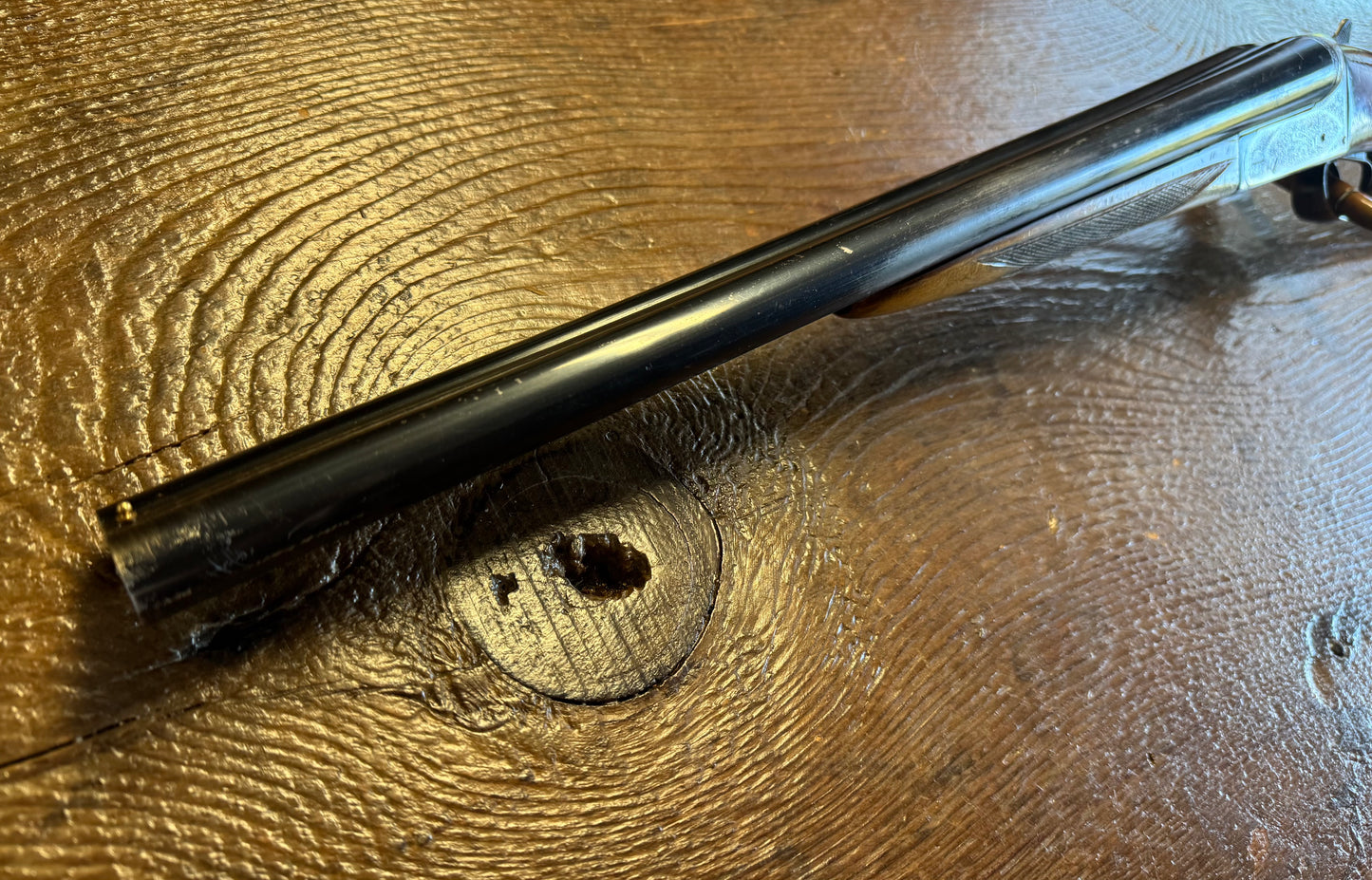 Kestrel Coach Gun 12 Ga. Engraved