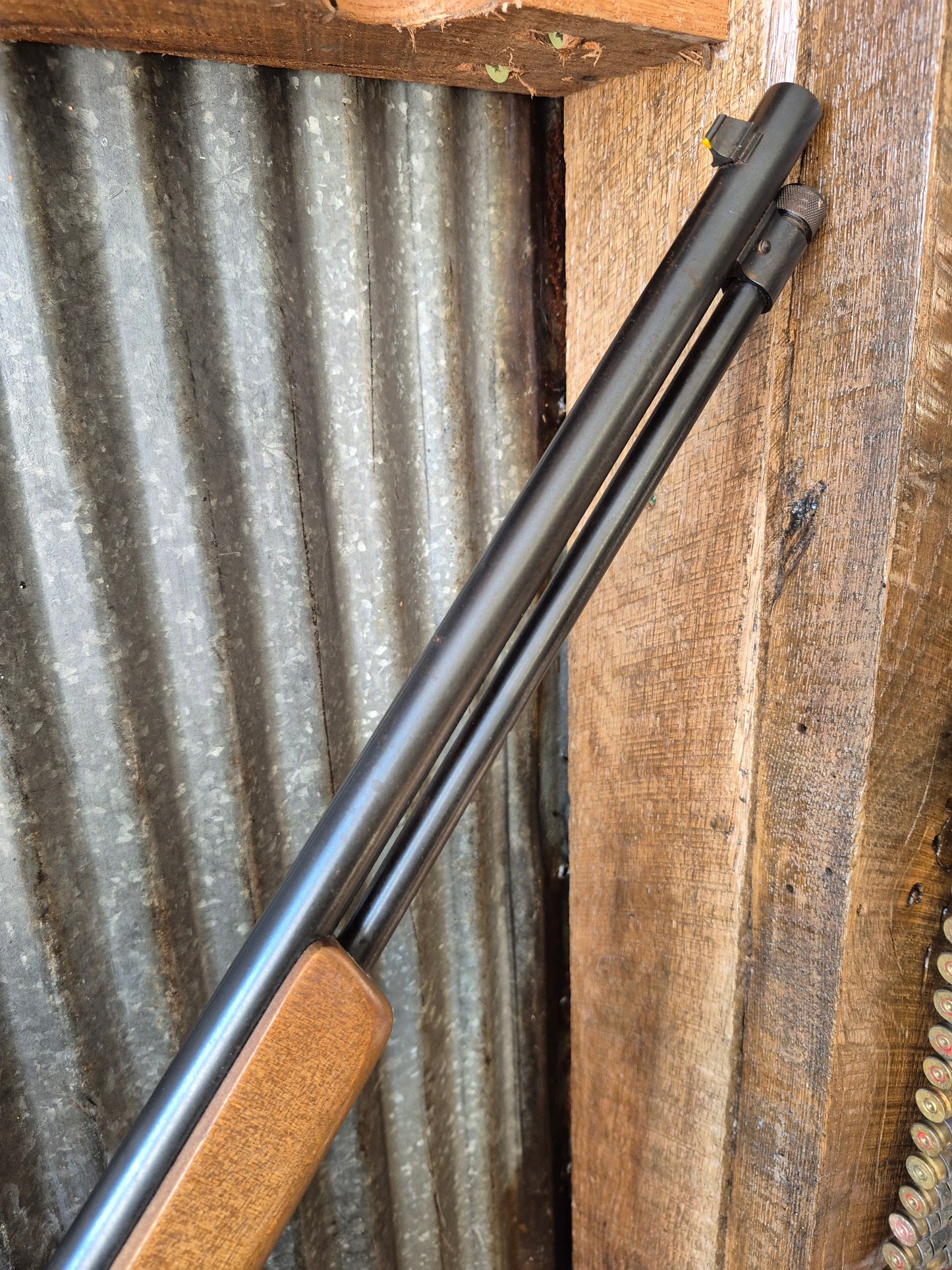 Winchester model 190 .22lr