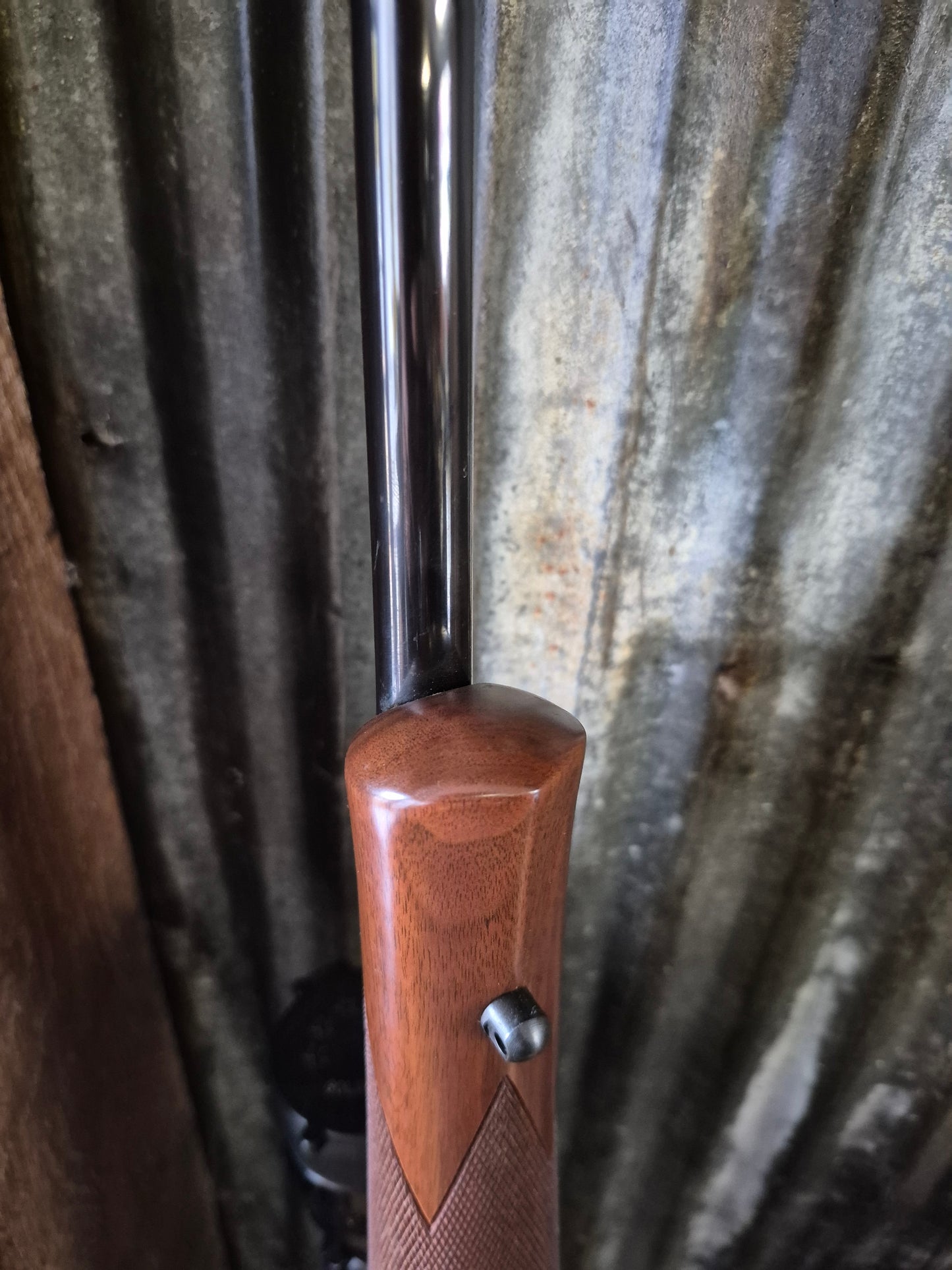 Remington Model Seven .223