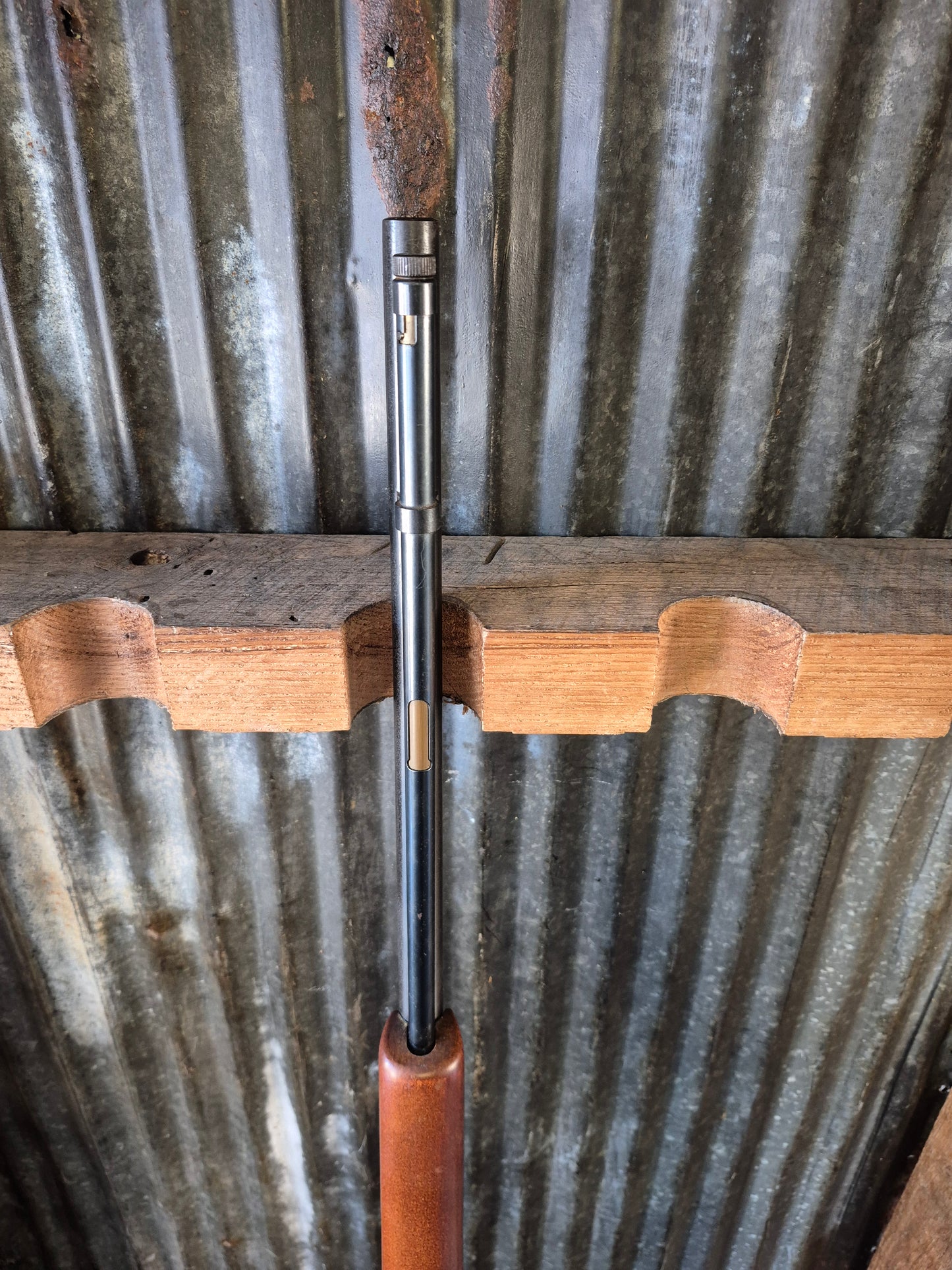 Marlin Glenfield Model 60