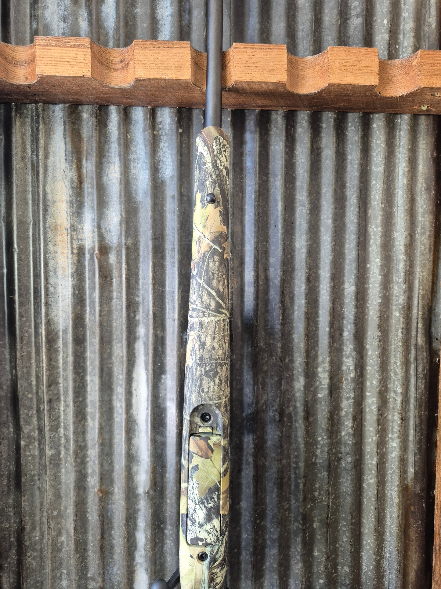 Savage Axis 30-06