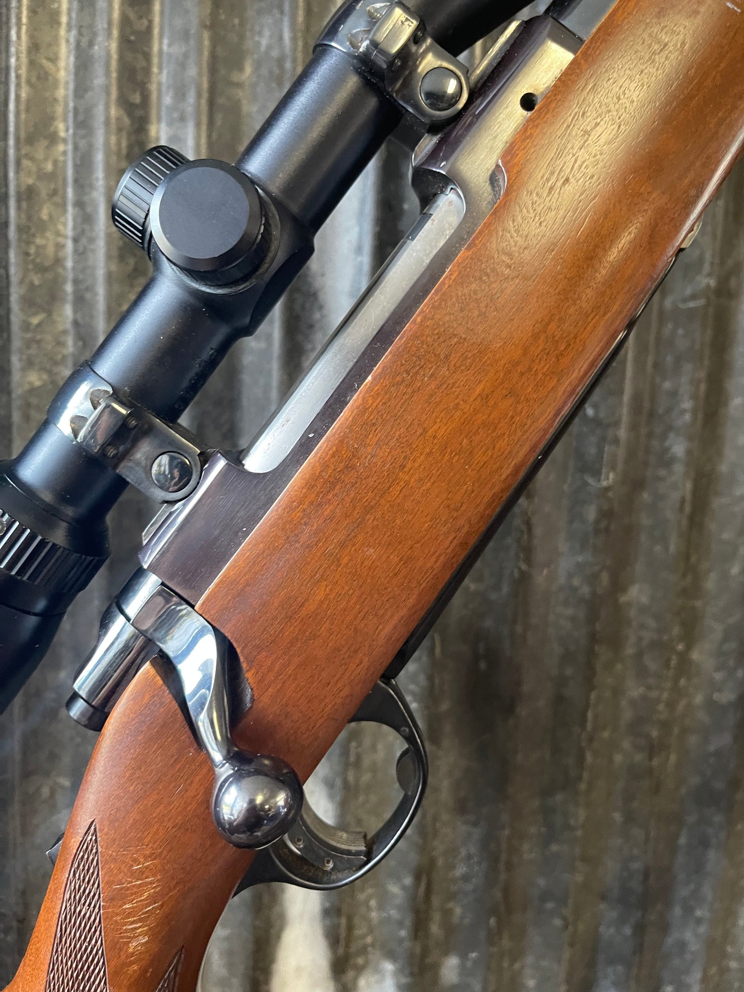 Ruger M77 Tang Safety Heavy Barrel .25-06 Remington with Bushnell Trophy 3-9x Scope
