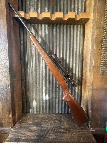 Savage Model 11 – .243 Winchester with Simmons 3-9x Scope