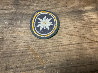West German 1st Mountain Division Patch