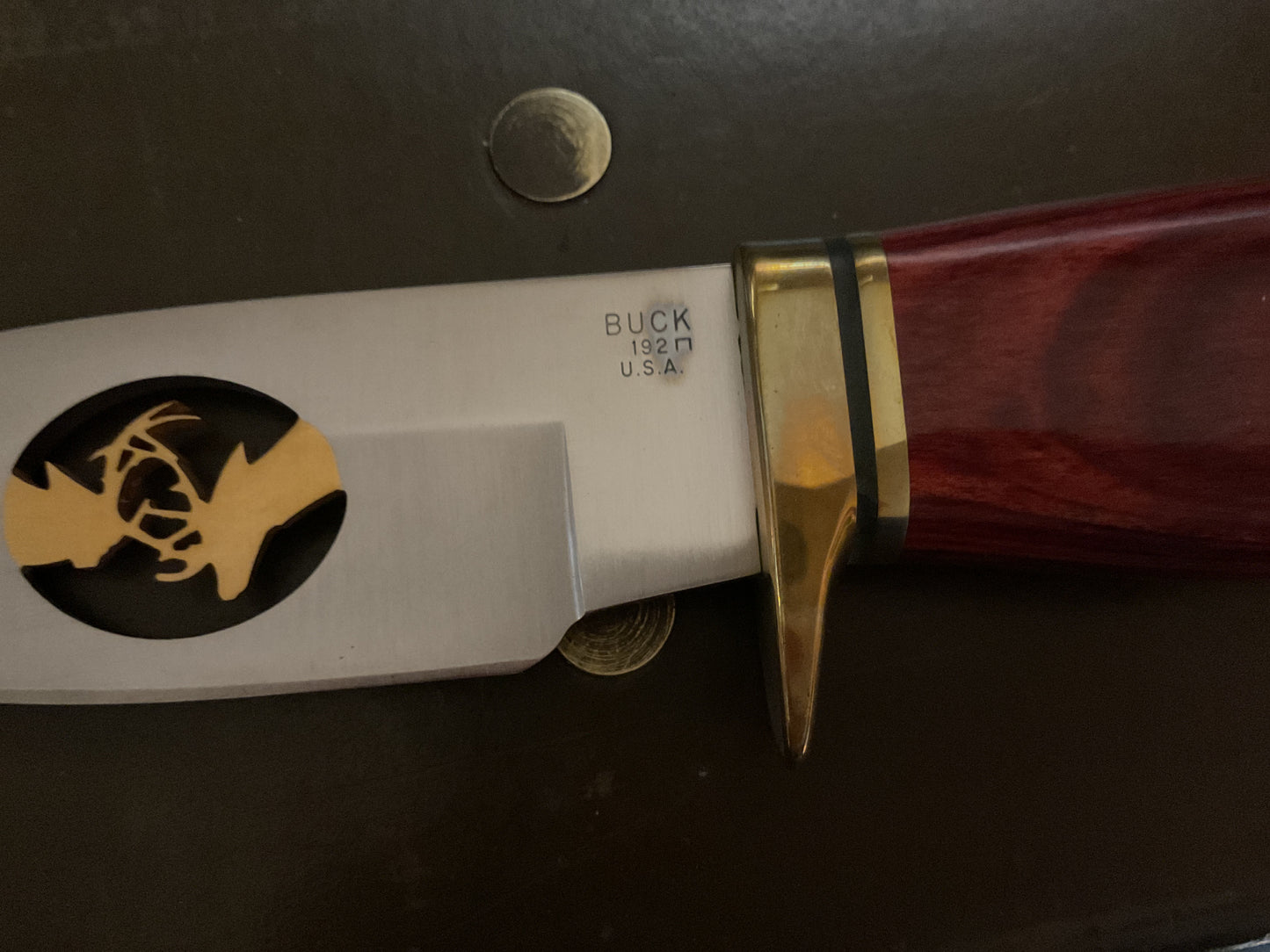 Limited Edition Buck Knife in Original Box