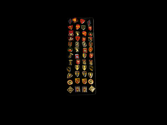 U.S. Army (48) Piece DUI Pin Collection
