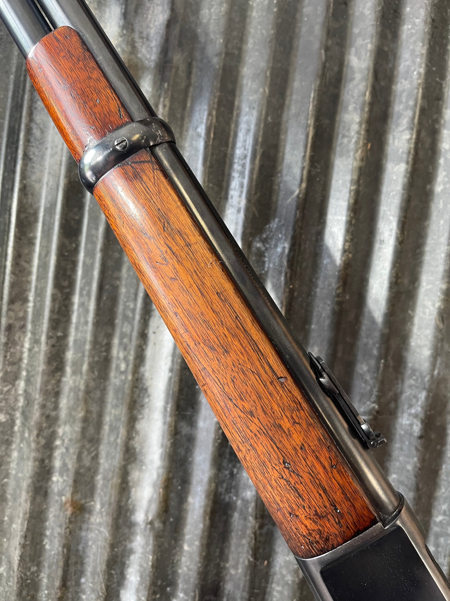 Winchester Model 1886 Saddle Ring Carbine .40-65 WCF – Cody Letter Confirmed + 10 Boxes PMC Ammo