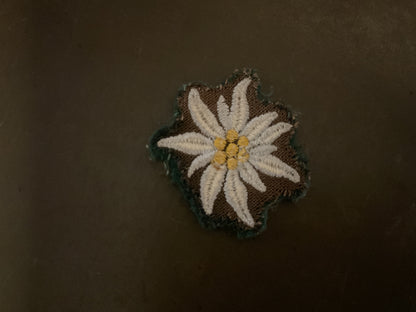 WWII German Elelweiss Mountain Troops Insignia