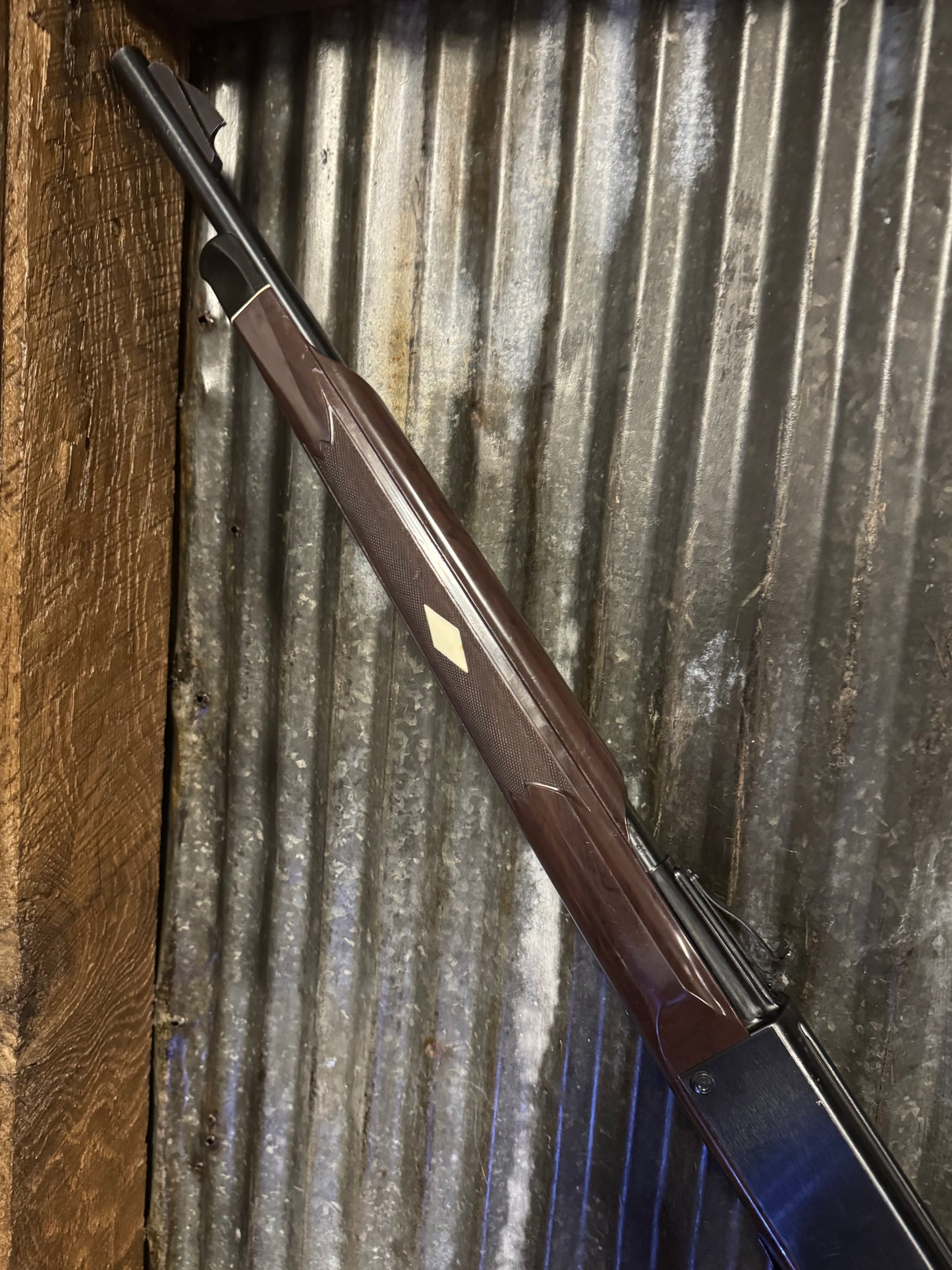 Remington Nylon 66 – .22 LR