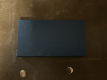 Republic of Vietnam Service Medal