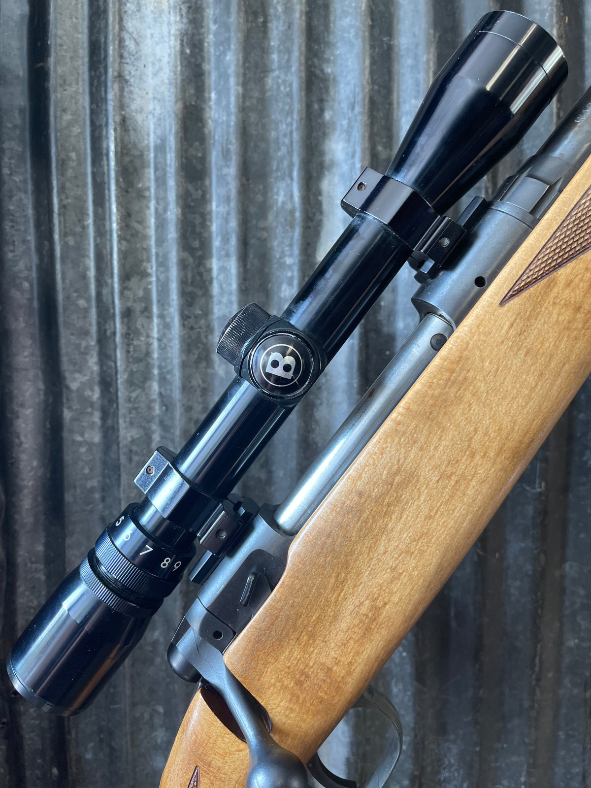 Savage Model 110 .30-06 Springfield with Bushnell Sportview 3-9x Scope
