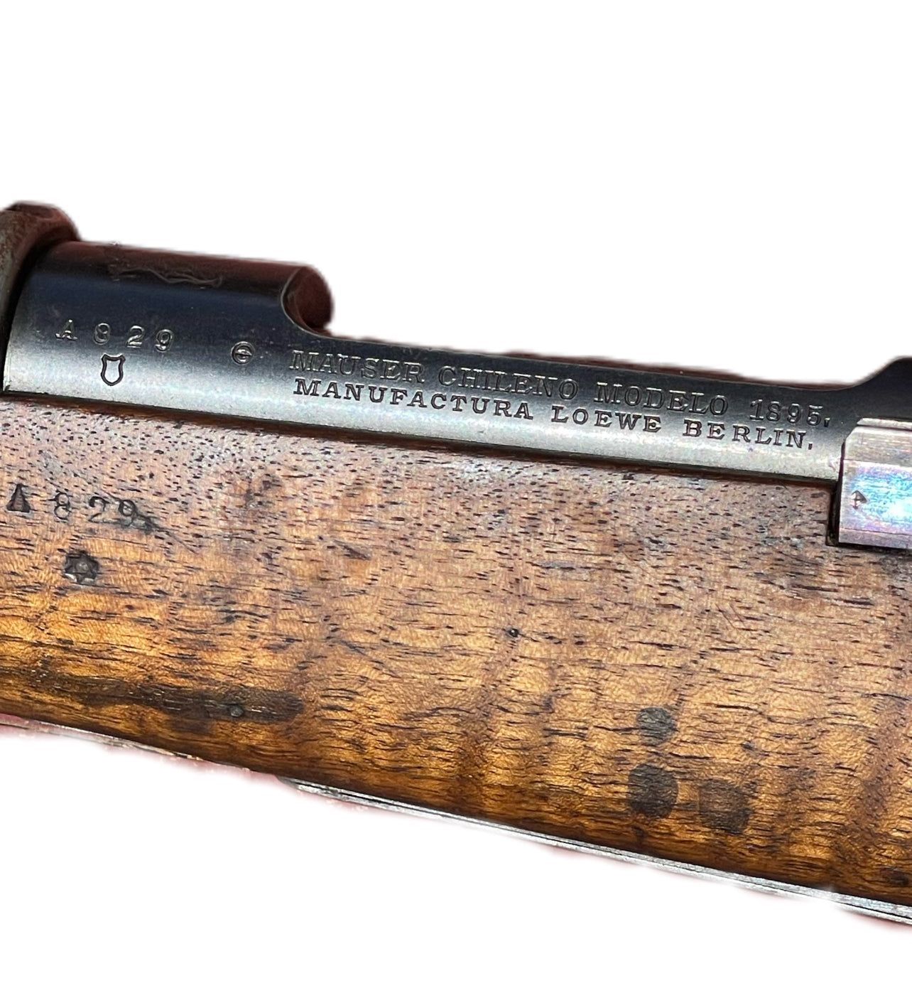 1895 Chilean Mauser Rifle – Loewe Berlin, 7×57mm, Serial A 829