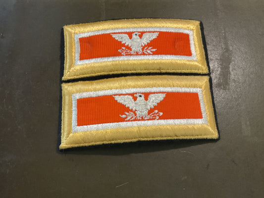 ARMY COLONEL SHOULDER BOARDS