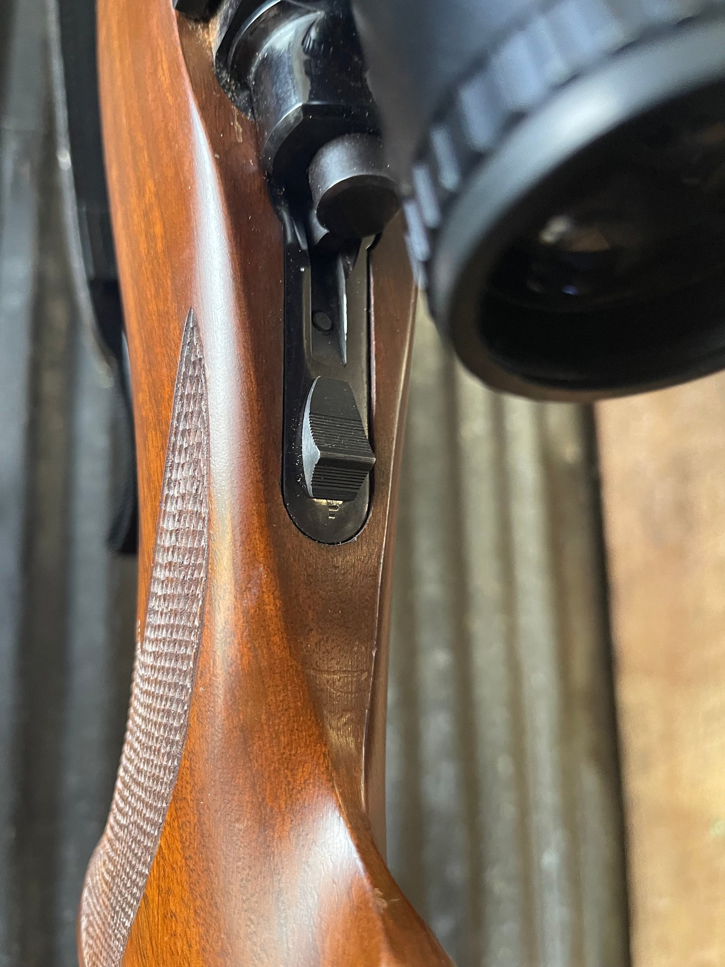 Ruger M77 Tang Safety Heavy Barrel .25-06 Remington with Bushnell Trophy 3-9x Scope