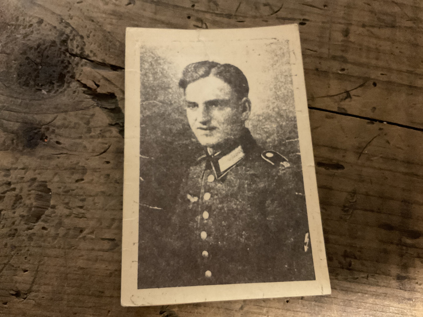 WWII German Waffen-SS Soldier Portrait Photograph-SS Uniform & Insignia