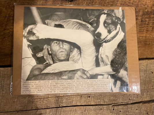 WWII Original Associated Press Photo 8x11