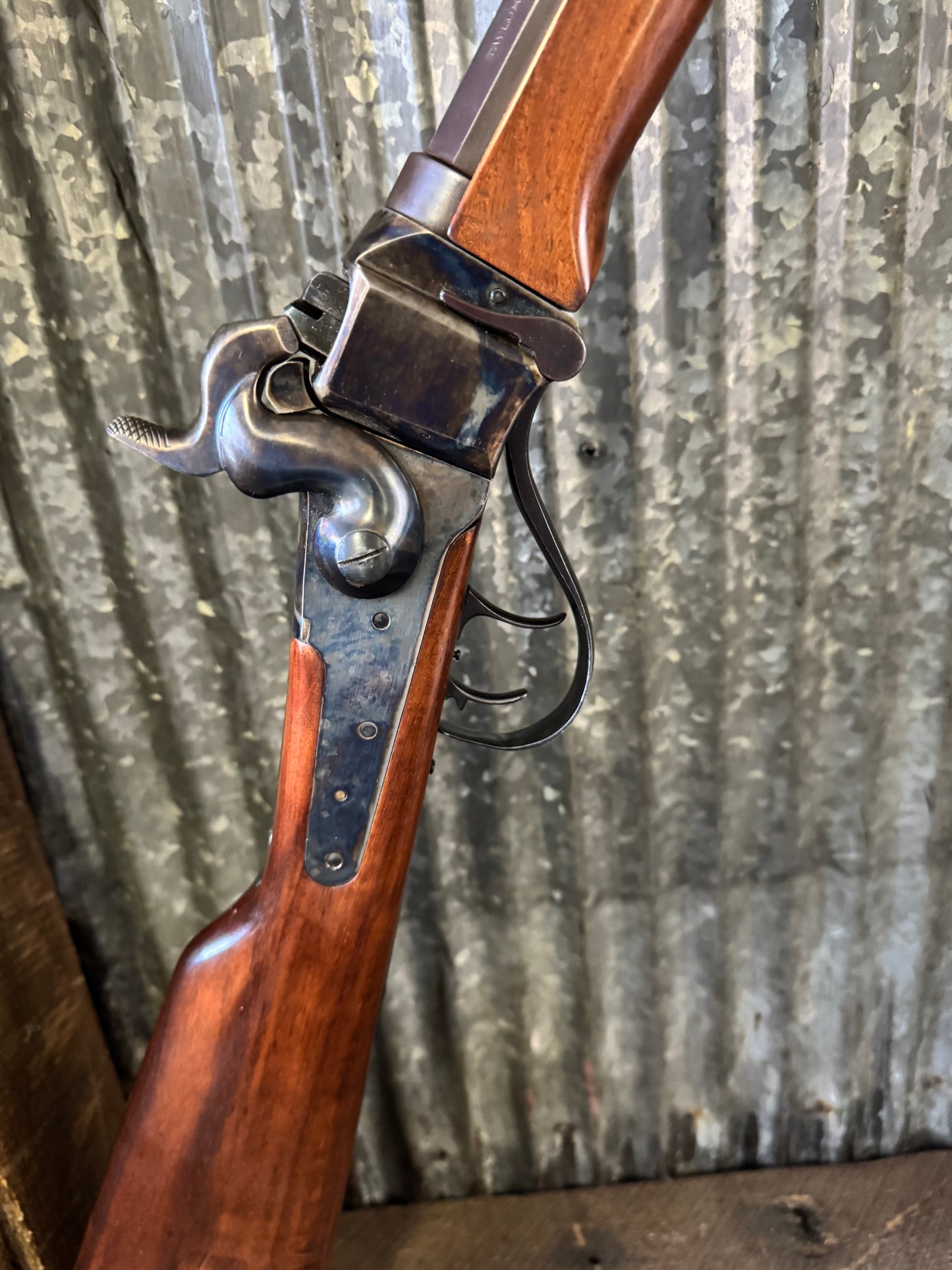Taylor & Co Sharps 45-70
