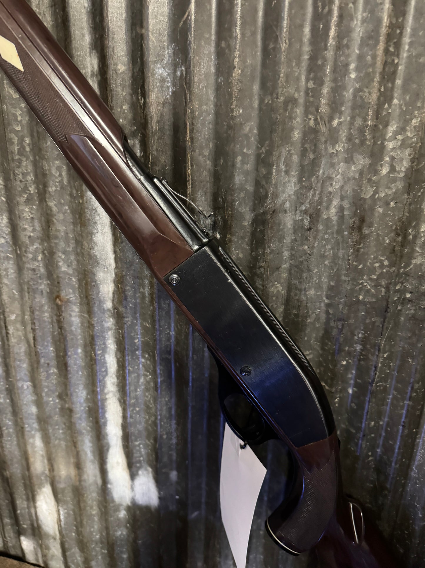 Remington Nylon 66 – .22 LR