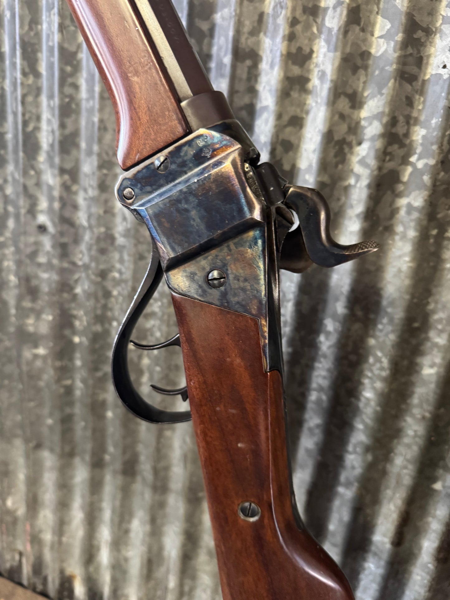 Taylor & Co Sharps 45-70
