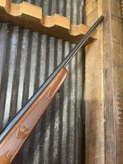 Savage Model 11 – .243 Winchester with Simmons 3-9x Scope