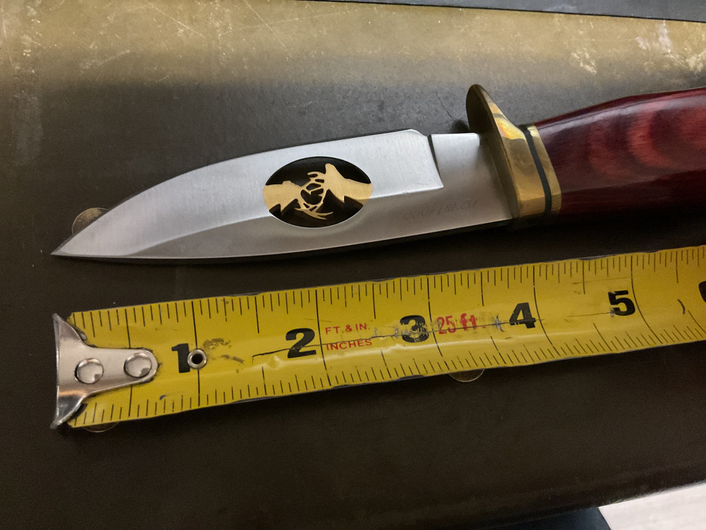Limited Edition Buck Knife in Original Box