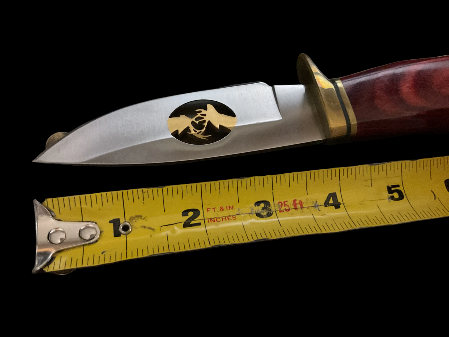 Limited Edition Buck Knife in Original Box