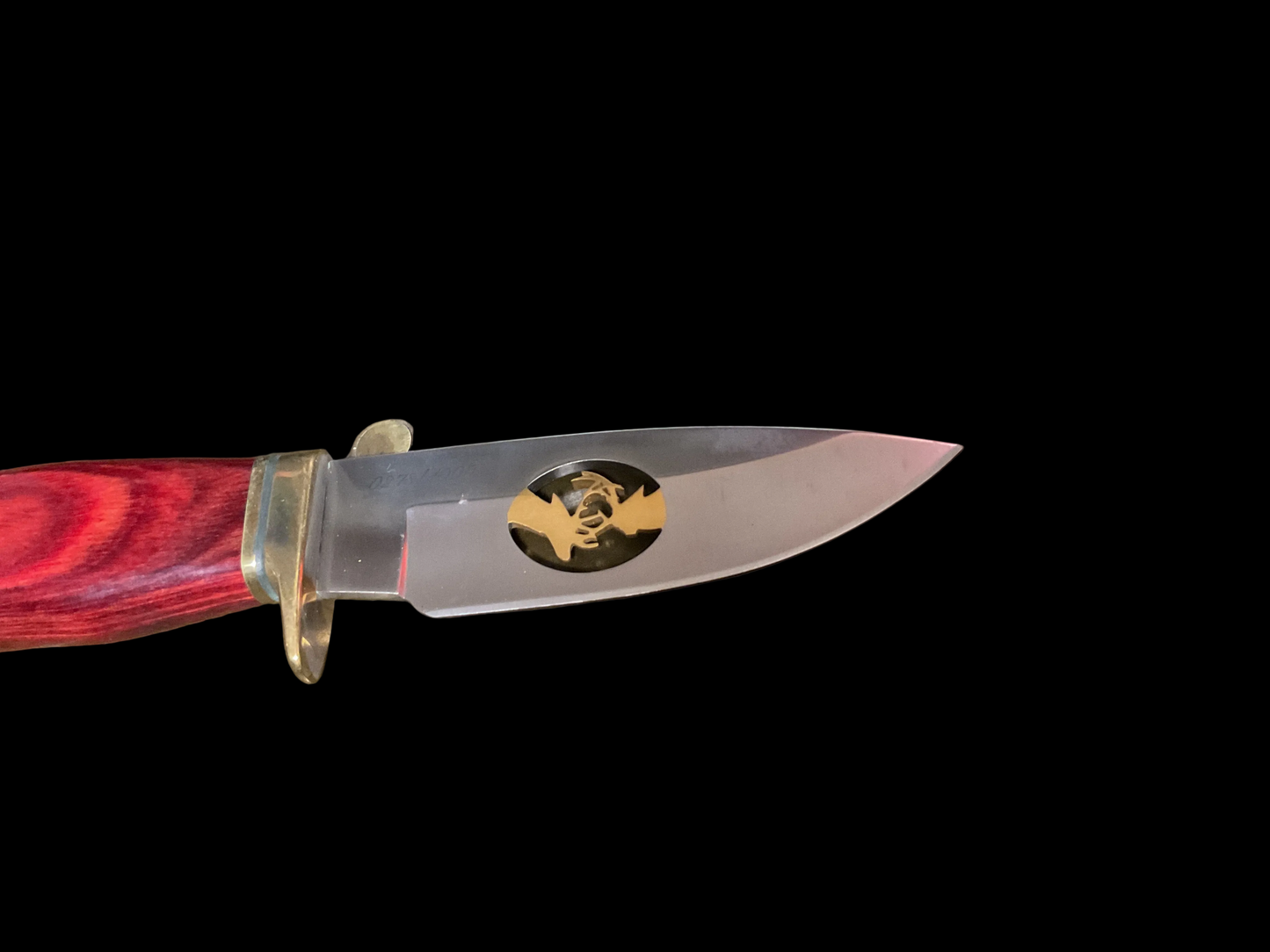 Limited Edition Buck Knife in Original Box