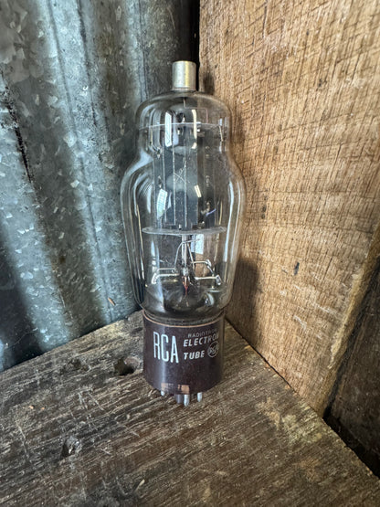 RCA Radiotron Large Industrial Vacuum Tube – Vintage U.S. Made