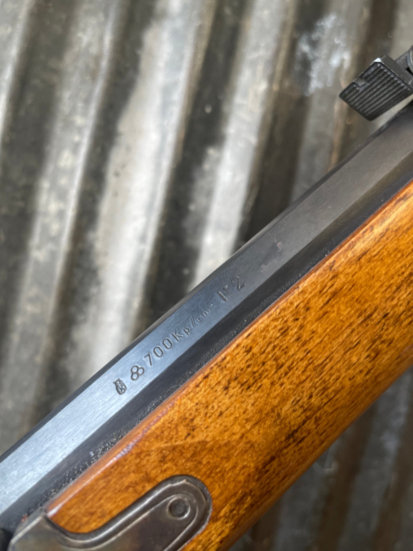 CVA Squirrel Rifle – .36 Caliber Percussion – Made in Spain – Classic Small Game Rifle