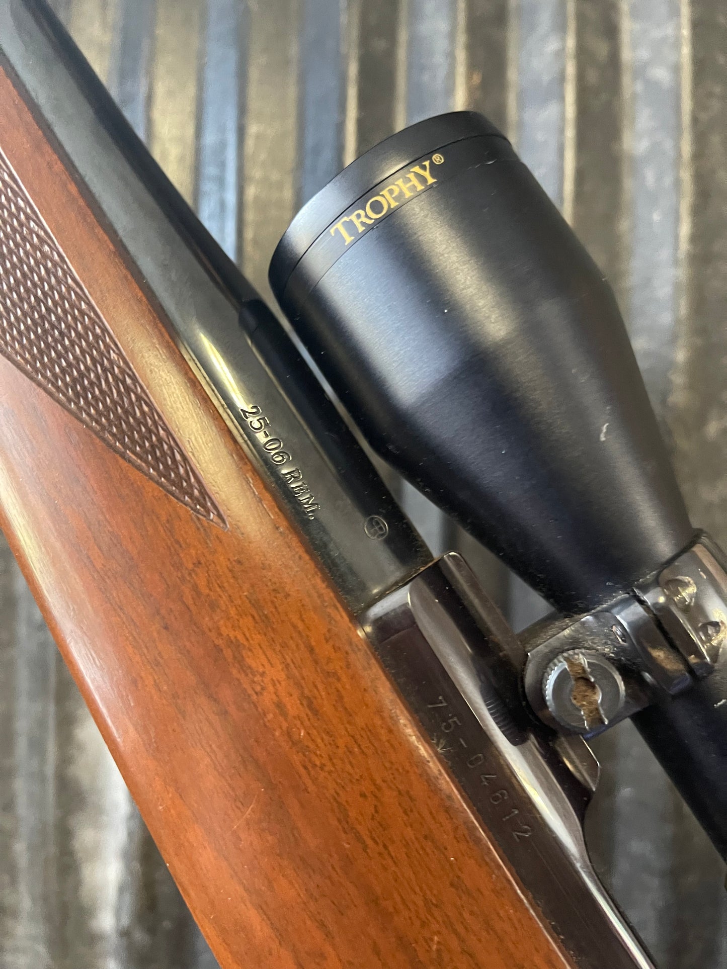 Ruger M77 Tang Safety Heavy Barrel .25-06 Remington with Bushnell Trophy 3-9x Scope