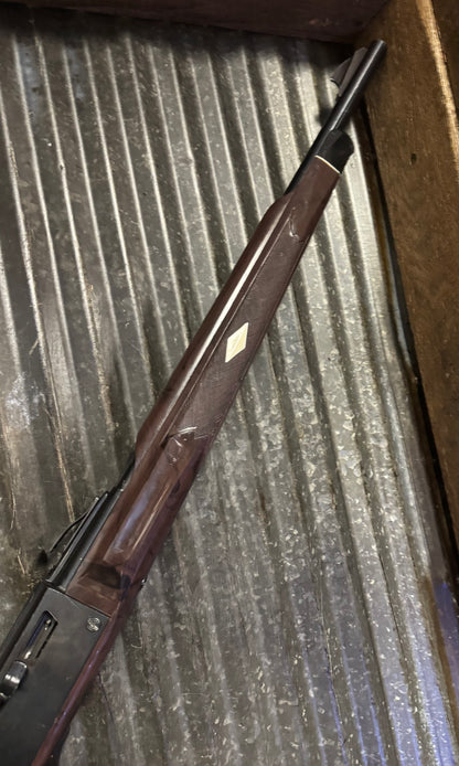 Remington Nylon 66 – .22 LR