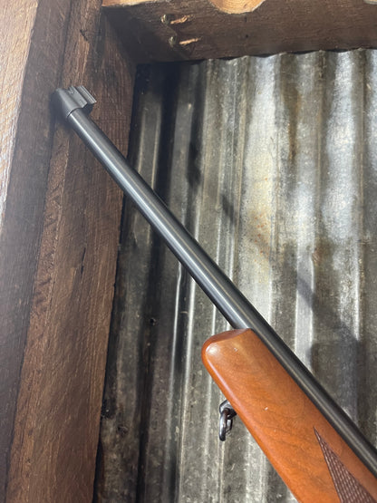Ruger 10/22 .22 LR – Older Production – Bushnell Sportview Scope – Wood Stock