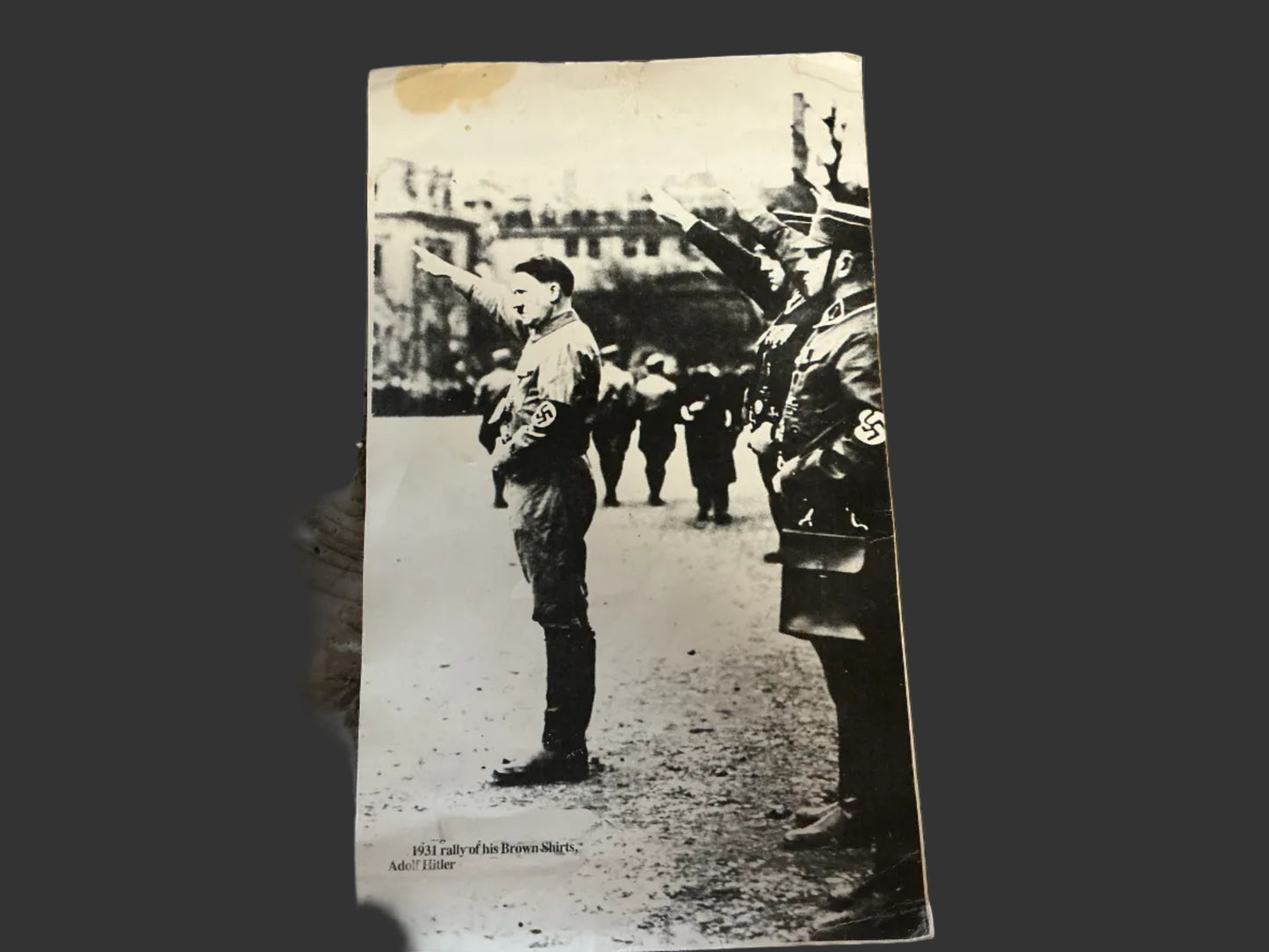 1931 Adolf Hitler Brown Shirts Rally Photo Print-Historical Reproduction-Large Display Poster
