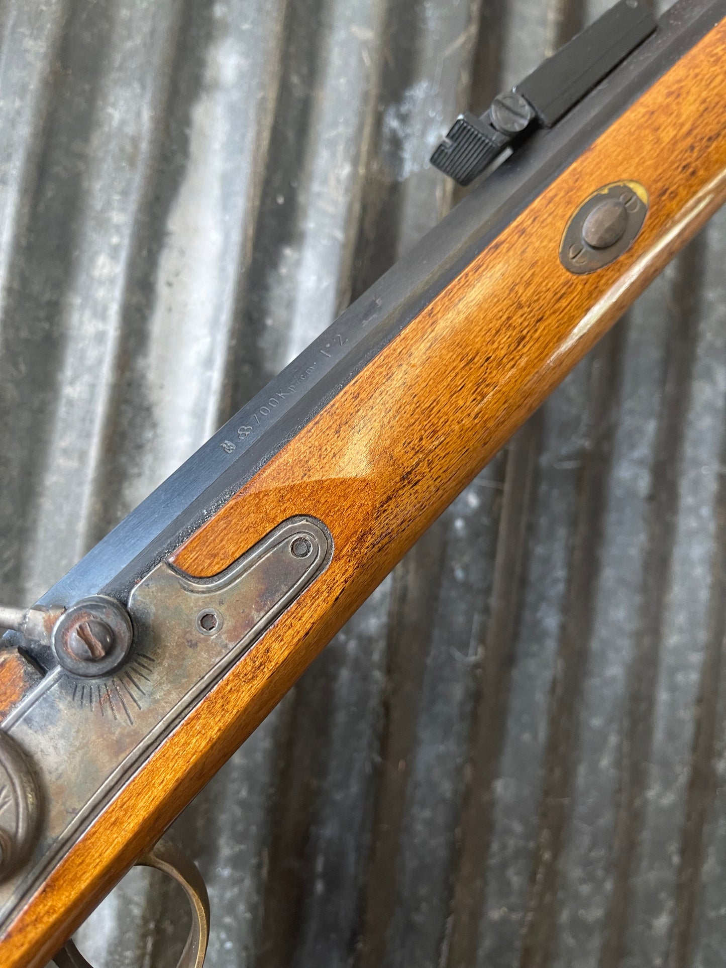 CVA Squirrel Rifle – .36 Caliber Percussion – Made in Spain – Classic Small Game Rifle