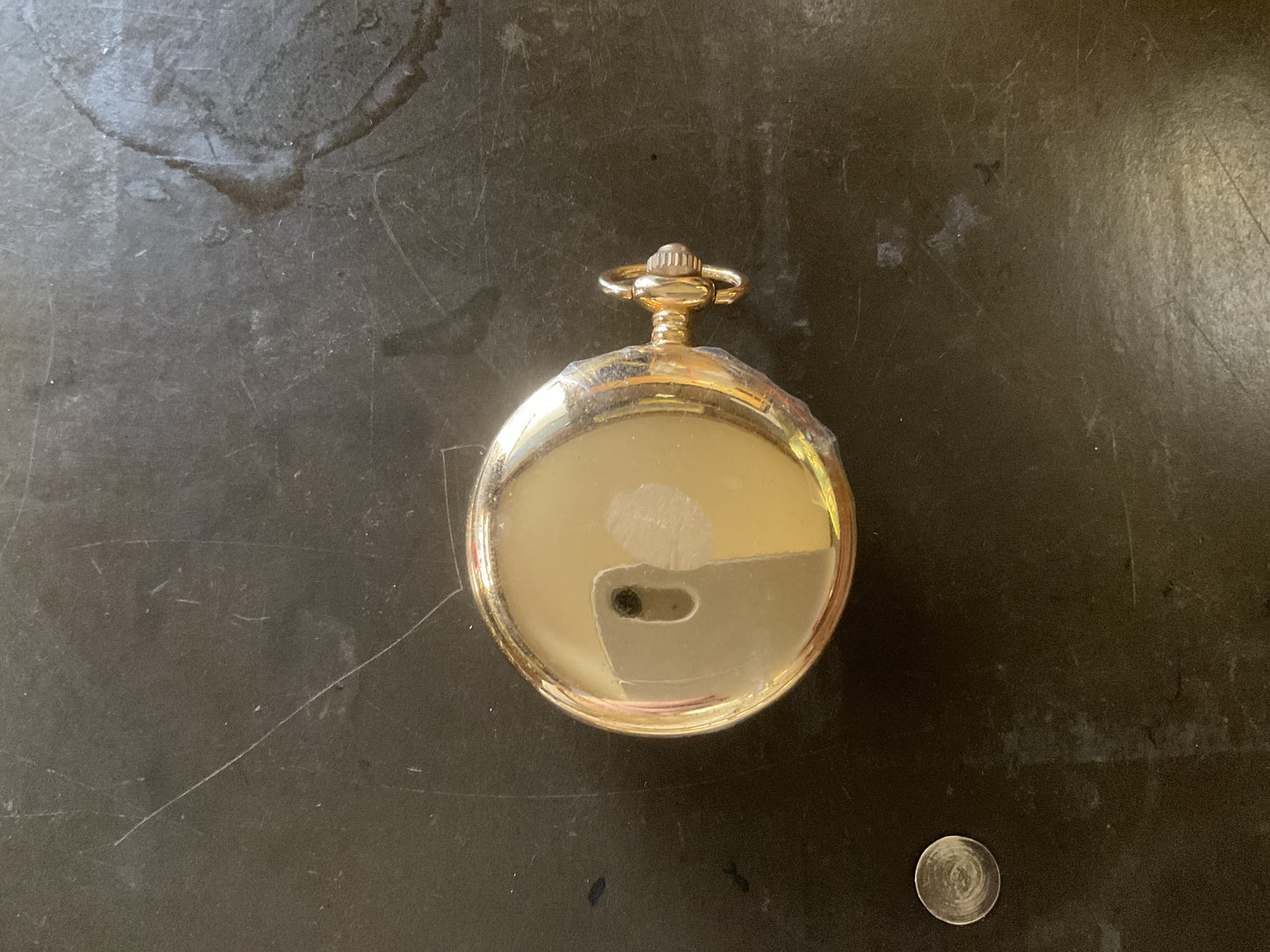 Wolf Pocket Watch