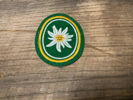 West German 1st Mountain Division Patch