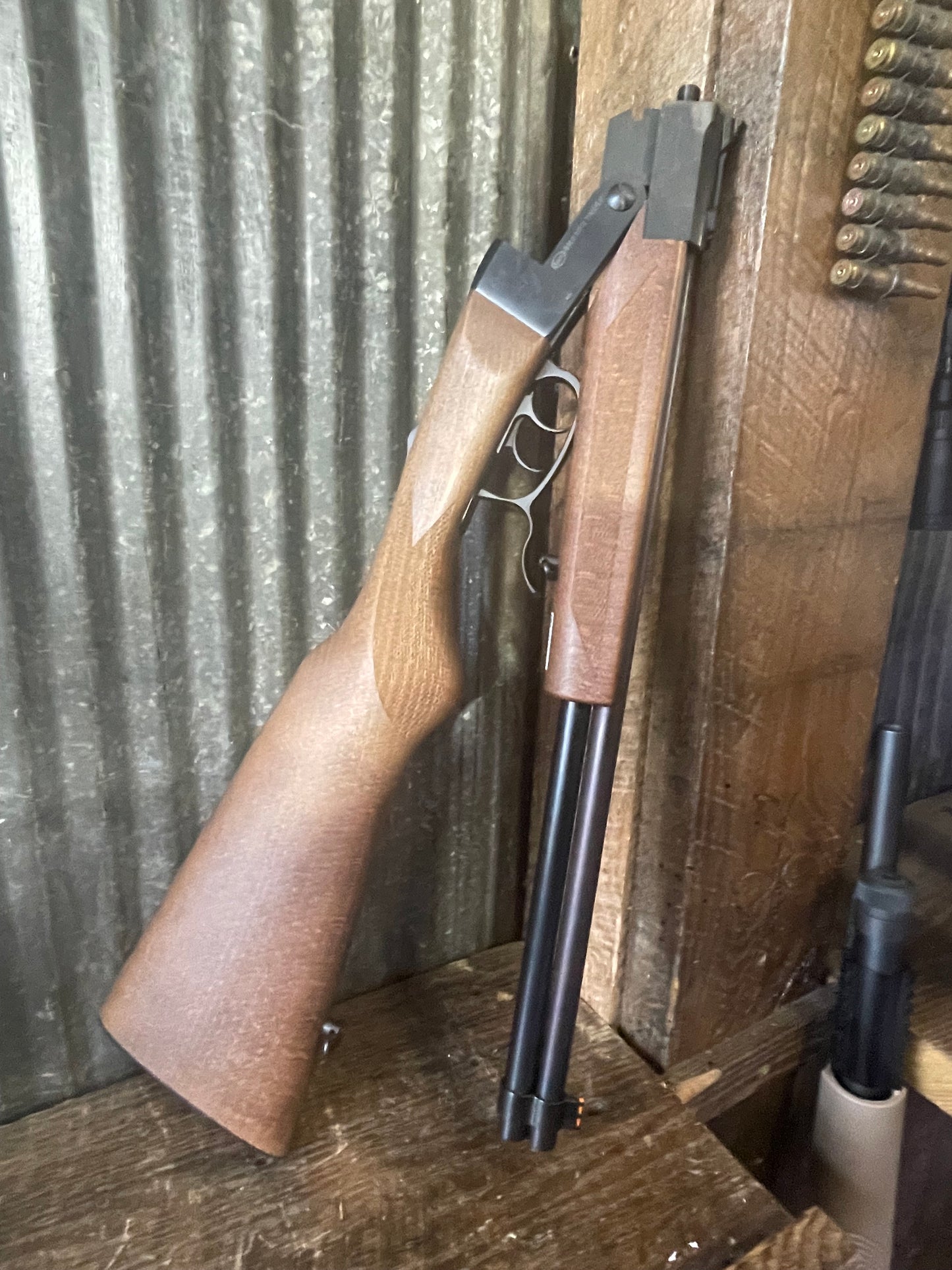 Chiappa Double Badger .22 Magnum / .410 Combo