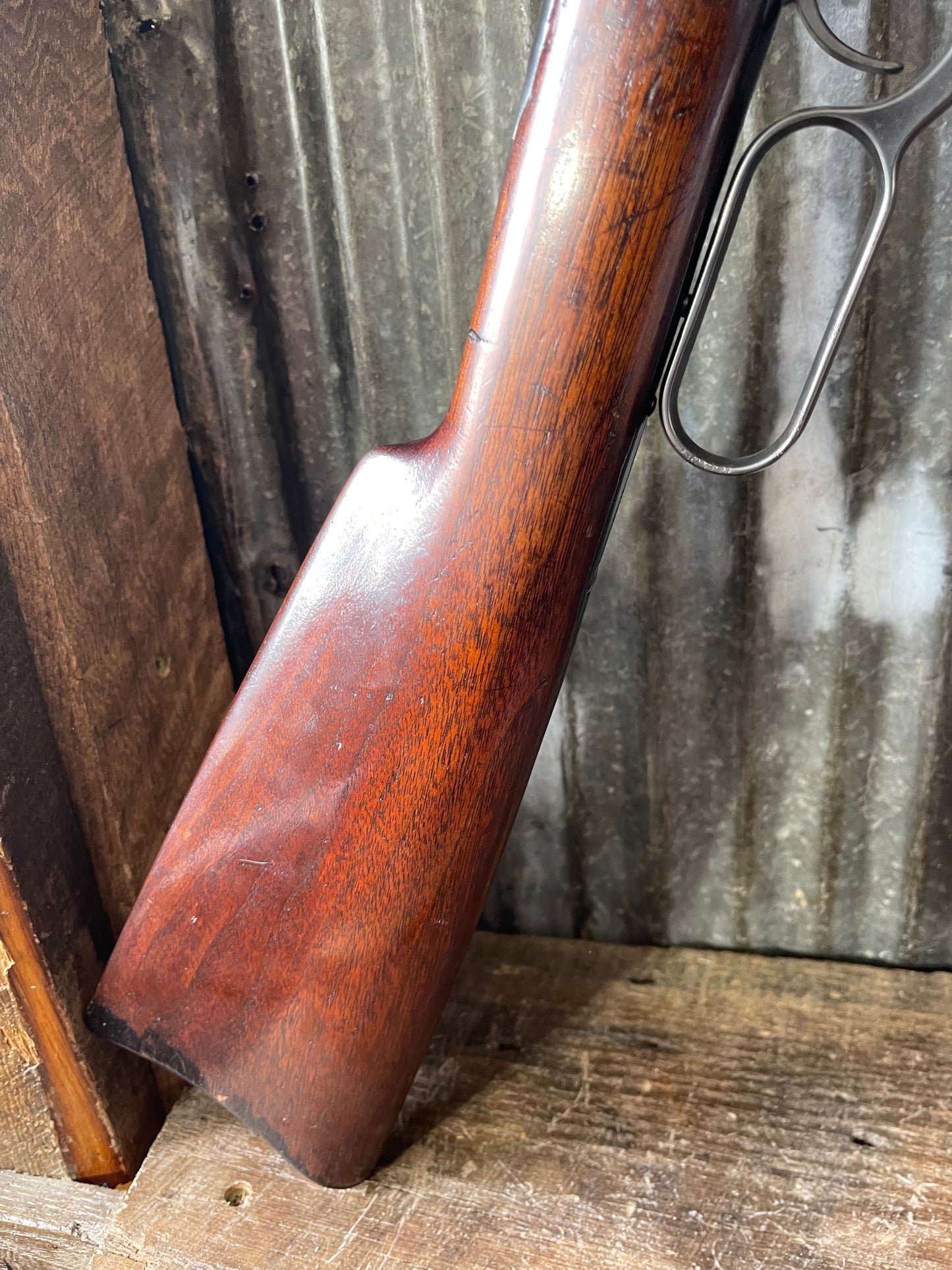 Winchester Model 1886 Saddle Ring Carbine .40-65 WCF – Cody Letter Confirmed + 10 Boxes PMC Ammo