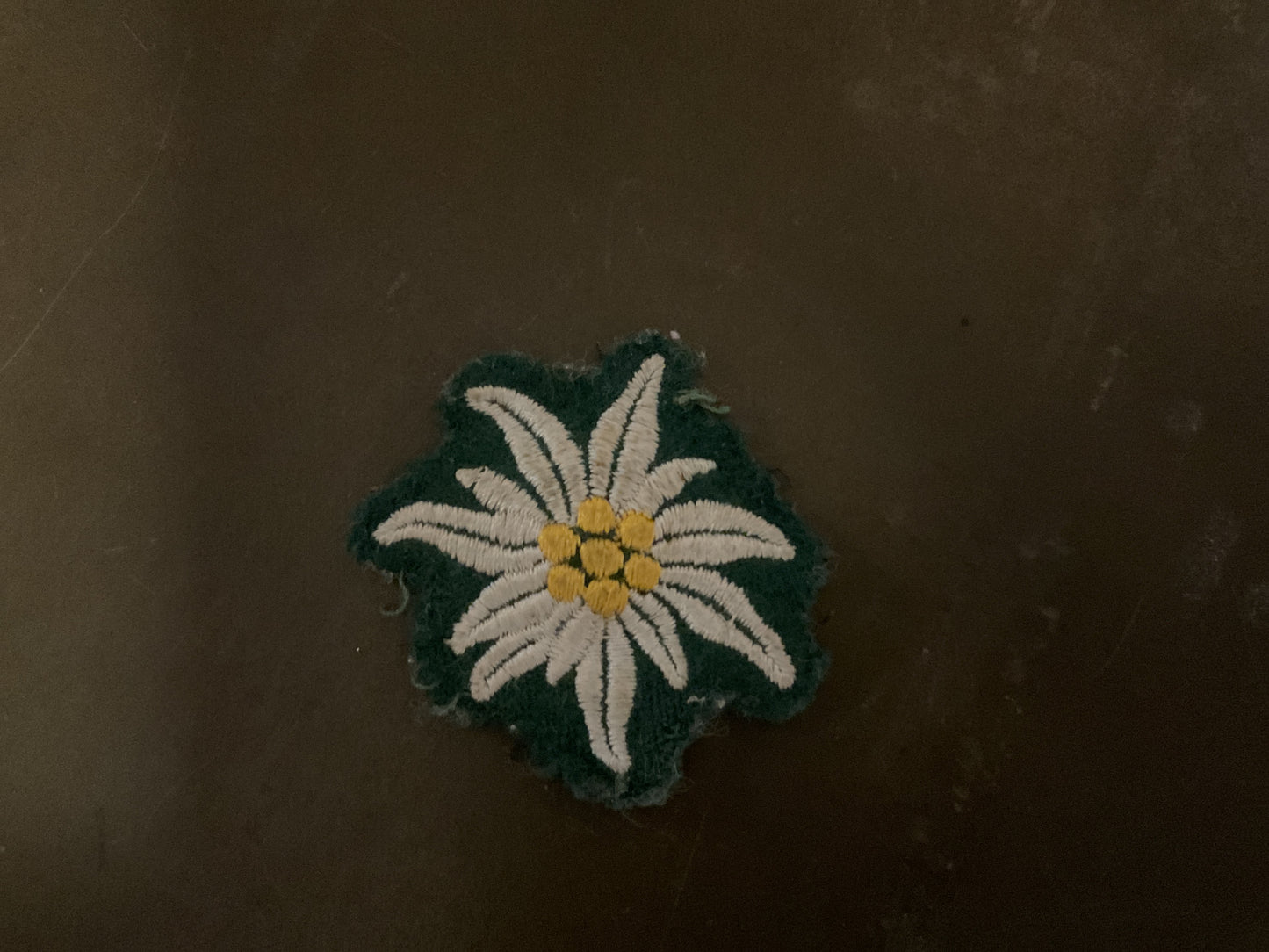 WWII German Elelweiss Mountain Troops Insignia