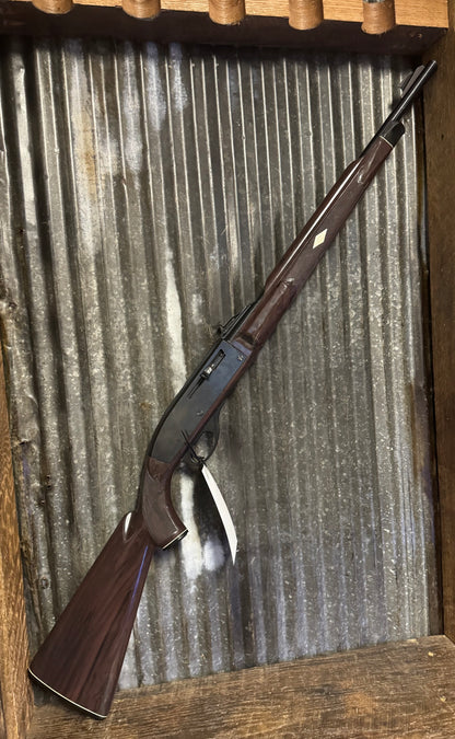 Remington Nylon 66 – .22 LR