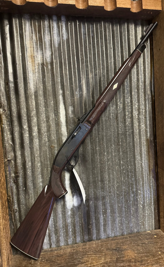 Remington Nylon 66 – .22 LR