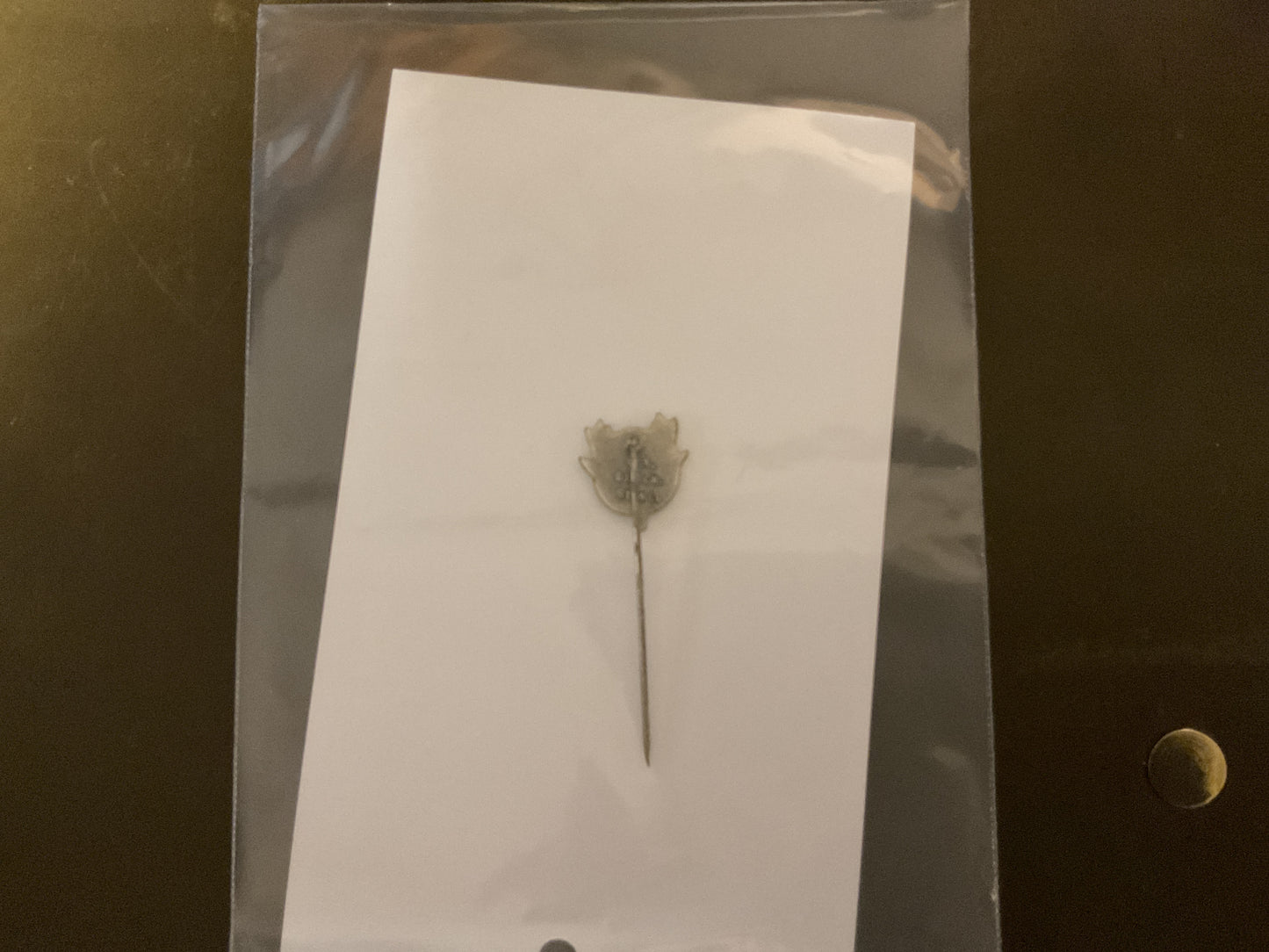 DJV German Hunter’s Pin Deutsche Jaeger Vebund