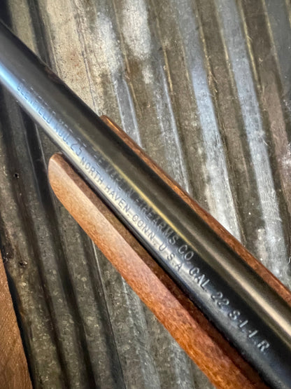 Glenfield Model 25 Bolt-Action Rifle – .22 S/L/LR (Magazine-Fed)