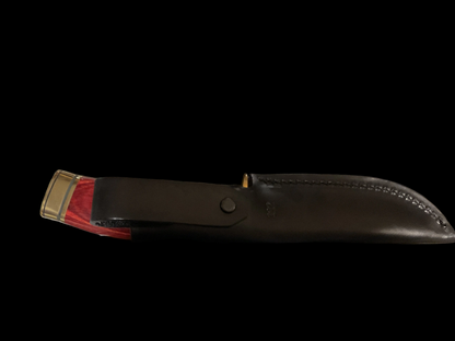 Limited Edition Buck Knife in Original Box