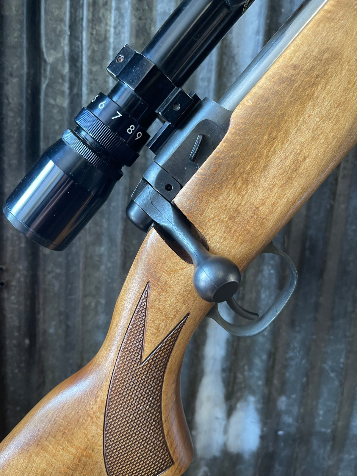 Savage Model 110 .30-06 Springfield with Bushnell Sportview 3-9x Scope