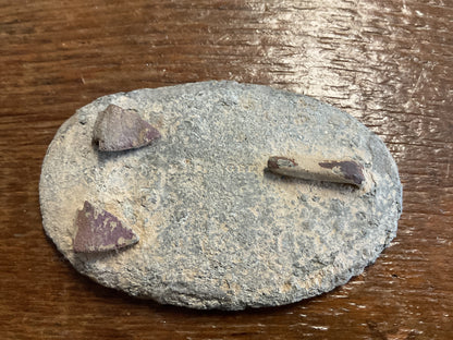 U.S. Belt Plate found Stones River off bypass Murfreesboro Tennessee. Civil War